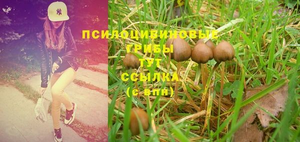 PSILOCYBIN Алексеевка