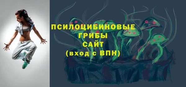 прущие грибы Алзамай