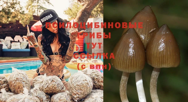 PSILOCYBIN Алексеевка