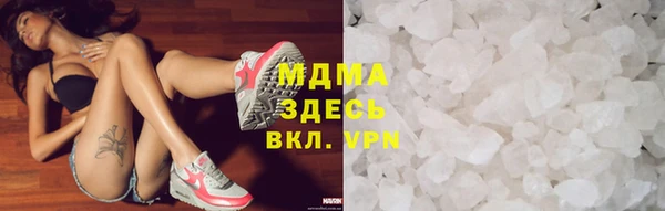 прущие грибы Алзамай