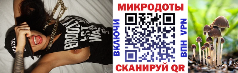 Галлюциногенные грибы MAGIC MUSHROOMS Тогучин