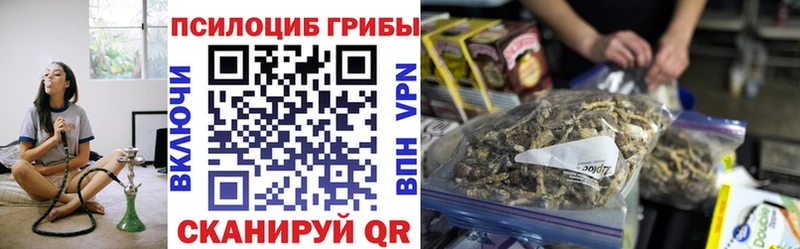 Галлюциногенные грибы ЛСД  дарнет шоп  Тогучин 